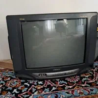 تلویزیون