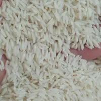 برنج هاشمی اعلادرجه یک گیلان رشت|خوردنی و آشامیدنی|رشت, استادسرا|دیوار