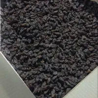 مویز فخری سوپر|خوردنی و آشامیدنی|شیراز, شهرک گلستان|دیوار