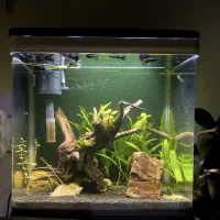 اکواریوم شرکتی نو اکبند با تجهیزات سالم