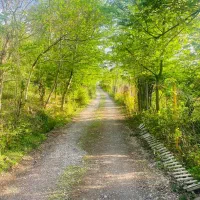 تهاترآپارتمان-یازمین