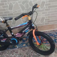 دوچرخه ۱۶ حرفه ای