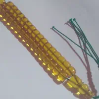 تسبیح سندلوس طلایی