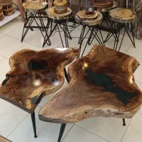 جلومبلی دوتیکه رستیک درخت گردو