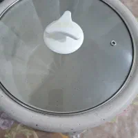 پلوپز