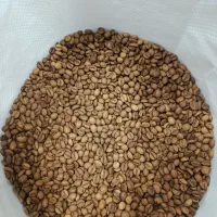 فروش قهوه رست شده با بالاترین کیفیت
