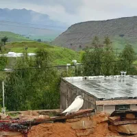 واحد ۷۱ متری بهترین جای پردیس