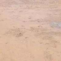 زمین مسکونی واقع درشهرستان سلطانیه روستای شکورآباد