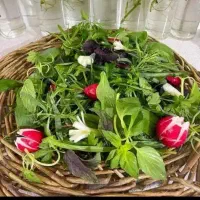 پاک کردن سبزی آش . قرمه سبزی...خرد کردن هویچ