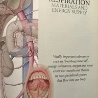 اطلس اناتومی ATLAS OF ANATOMY|کتاب و مجله آموزشی|کلاردشت, |دیوار