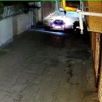 سگ اشپیتز گمشده. خیابان امام|حیوانات|رفسنجان, |دیوار