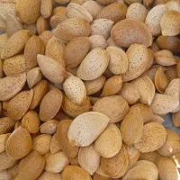 بادام تازه درجه یک