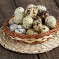 تخم بلدرچین