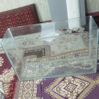 اکواریوم