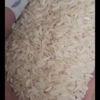 فروش برنج کامفیروزی