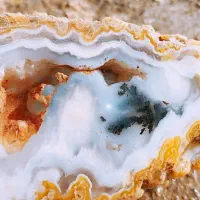 عقیق شجر کلکسیونی