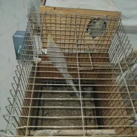 عروس هلندی مولد با لوازم