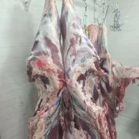 قصاب و قطعه بندی گوشت|استخدام خدمات فروشگاه و رستوران|اهواز, کوی آغاجاری|دیوار