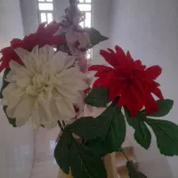 گلدان نوه|گل مصنوعی|یزد, |دیوار