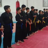 رشته رزمی کامبت کاراته