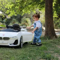 BMW تحت لیسانس