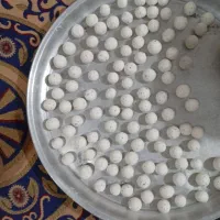 کشک گوسفندی