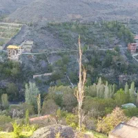 زمین-زشک-14
