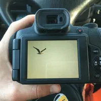 دوربین canon کنون سوپر زوم sx70hs|دوربین عکاسی و فیلم‌برداری|تهران, میرداماد|دیوار