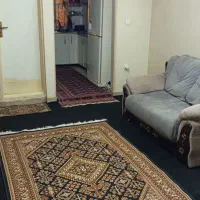 همخونه میخام