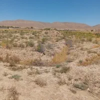 زمین باغ ۷۵۰متر با آب گوارشک فروش،معاوضه باخودرو|فروش زمین و ملک کلنگی|مشهد, درزآب|دیوار