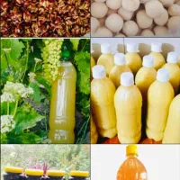 کشک(خشکو)رب انار،سرکه سیب،ابغوره وابلیموتازه