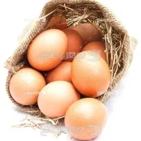 تخم مرغ محلی شمال