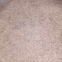 نیم دانه کامفیروزی امسالی|خوردنی و آشامیدنی|نی‌ریز, |دیوار