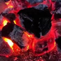 همکار جهت بسته بندی زغال