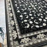 قالی ۷۰۰ شانه پاتریس|فرش|دهدشت, |دیوار
