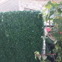 فروش آپارتمان ۸۰ متری در امبرکلا|فروش آپارتمان|امیرکلا, |دیوار