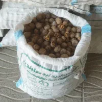 گردو امسال رودهن وسکاره و جورد خوش مزه پر چرب