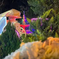 باغ تالار کاراما|خدمات پذیرایی، مراسم|تهران, چیتگر شمالی|دیوار