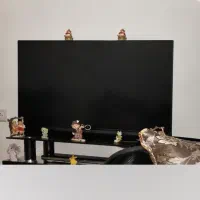 تلوزیون