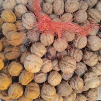 فروش گردو450چهارصد وپنچ هزارتومان|عمده‌فروشی|اهواز, زیتون کارمندی|دیوار