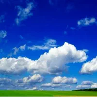 فیش حج واجب