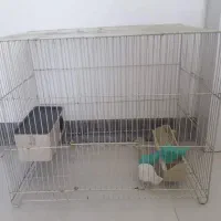 قفس پرنده با لوازم و کاور|لوازم جانبی حیوانات|مشهد, موسوی قوچانی|دیوار