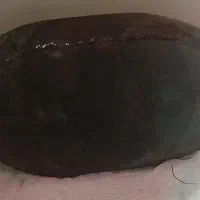 عقیق سیاه یا شجر سیاه