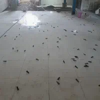 اجرای تمام کارهای سرامیک و سنگ نما و کف بدنه|خدمات پیشه و مهارت|نورآباد, |دیوار