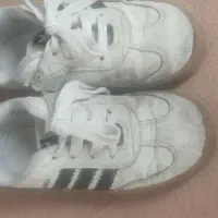 کفش بچگانه|کفش و لباس بچه|تالش, هشتپر|دیوار