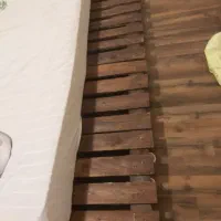 پالت