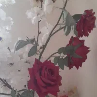 وسایل تزیینی