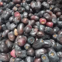 محصولات ارگانیک خانگی