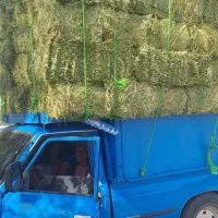 خرید وفروش یونجه پرس
