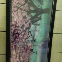 مقداری وسایل منزل|آب‌چکان و نظم‌دهنده ظروف|دورود, |دیوار